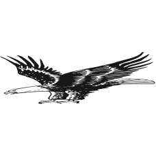 Eagle Eagle